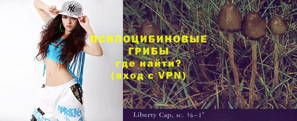 дживик Баксан