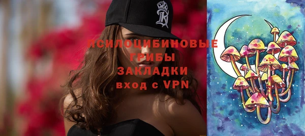 дживик Баксан