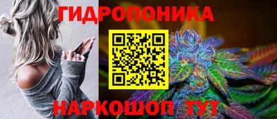 спиды Кунгур
