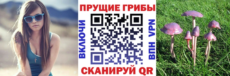 продажа наркотиков  Сегежа  Псилоцибиновые грибы мицелий 